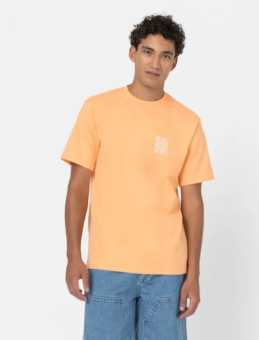 DICKIES - Creswell Short Sleeve T-Shirt - Papaya Smoothie