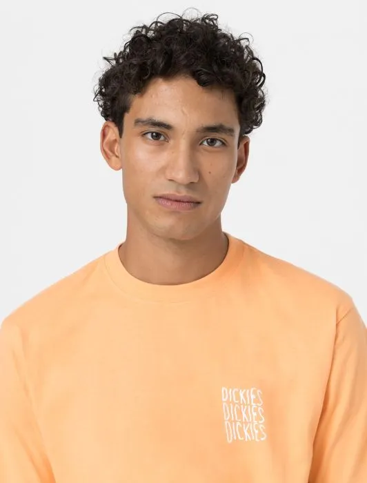 DICKIES - Creswell Short Sleeve T-Shirt - Papaya Smoothie