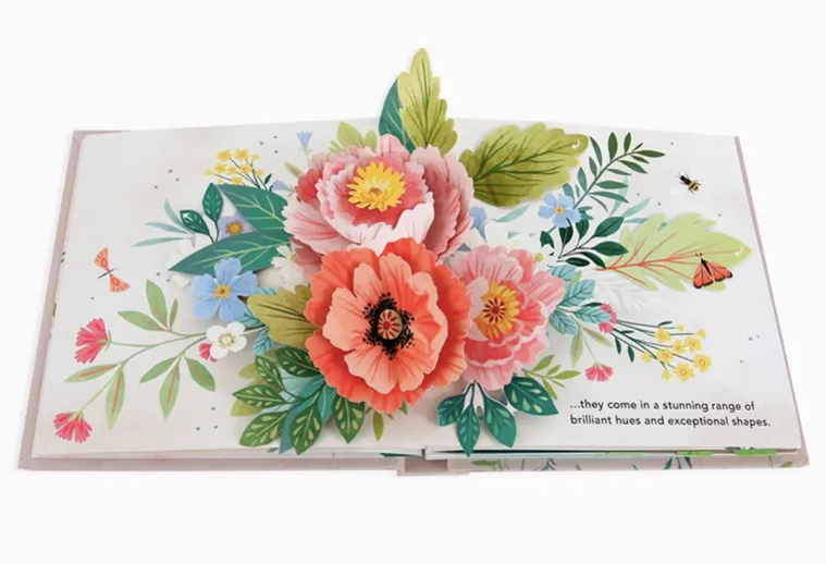 Flora A Botanical Pop Up Book