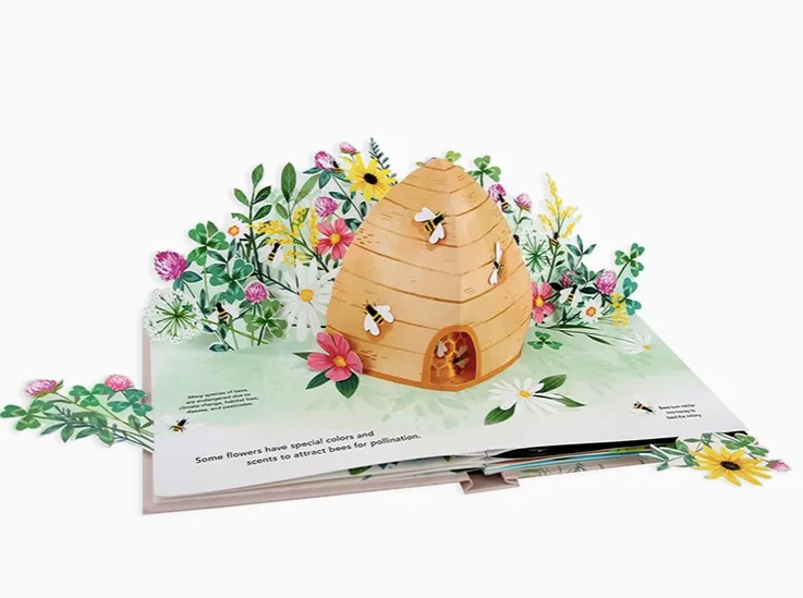 Flora A Botanical Pop Up Book