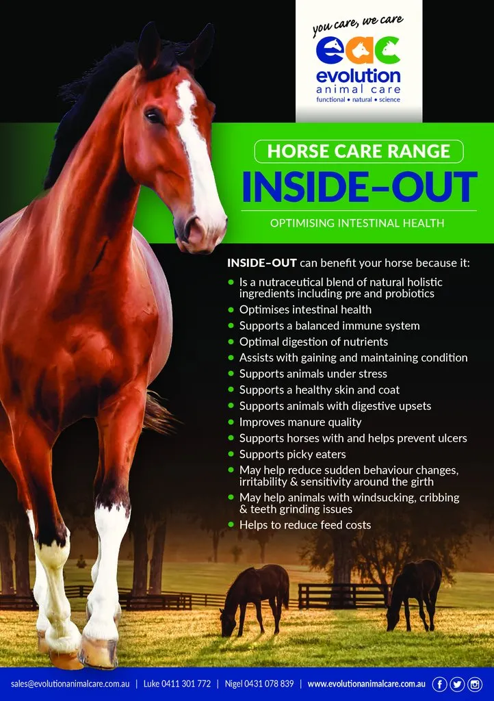 Inside Out Horses 1kg