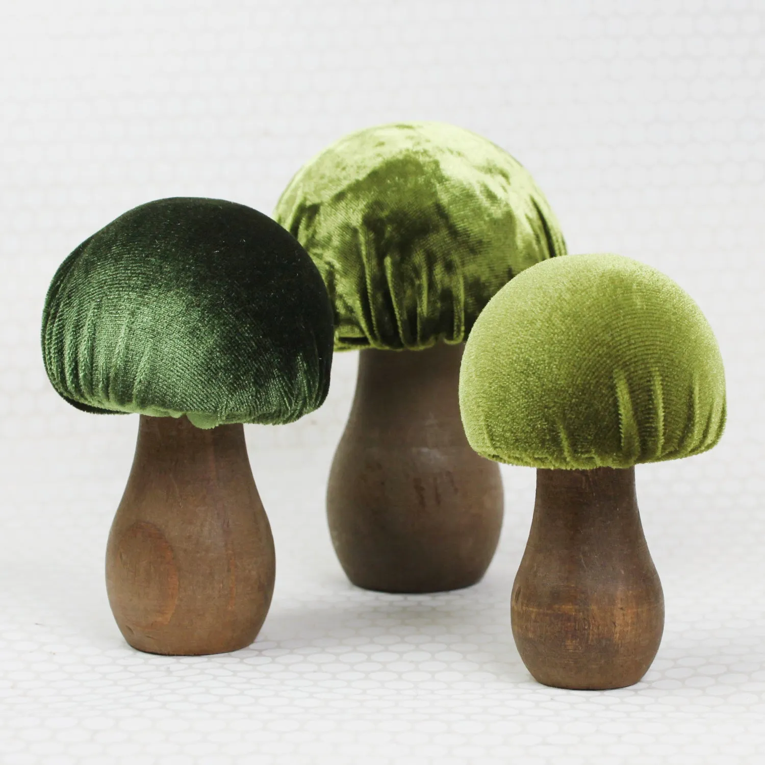 Verdant Velvet Mushroom